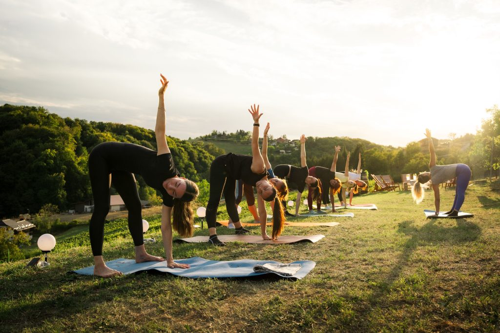 Doživite Vino & Yoga u Vinariji Žnidarić – yogu i meditaciju među trsovima, prirodu, degustaciju nagrađivanih vina i domaće proizvode.