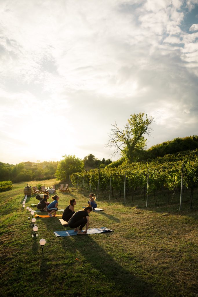 Doživite Vino & Yoga u Vinariji Žnidarić – yogu i meditaciju među trsovima, prirodu, degustaciju nagrađivanih vina i domaće proizvode.