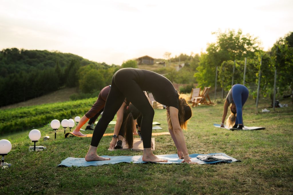 Doživite Vino & Yoga u Vinariji Žnidarić – yogu i meditaciju među trsovima, prirodu, degustaciju nagrađivanih vina i domaće proizvode.