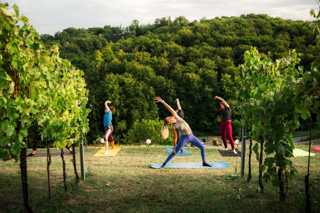 Doživite Vino & Yoga u Vinariji Žnidarić – yogu i meditaciju među trsovima, prirodu, degustaciju nagrađivanih vina i domaće proizvode.