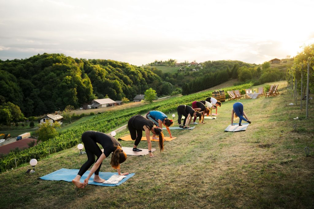 Doživite Vino & Yoga u Vinariji Žnidarić – yogu i meditaciju među trsovima, prirodu, degustaciju nagrađivanih vina i domaće proizvode.