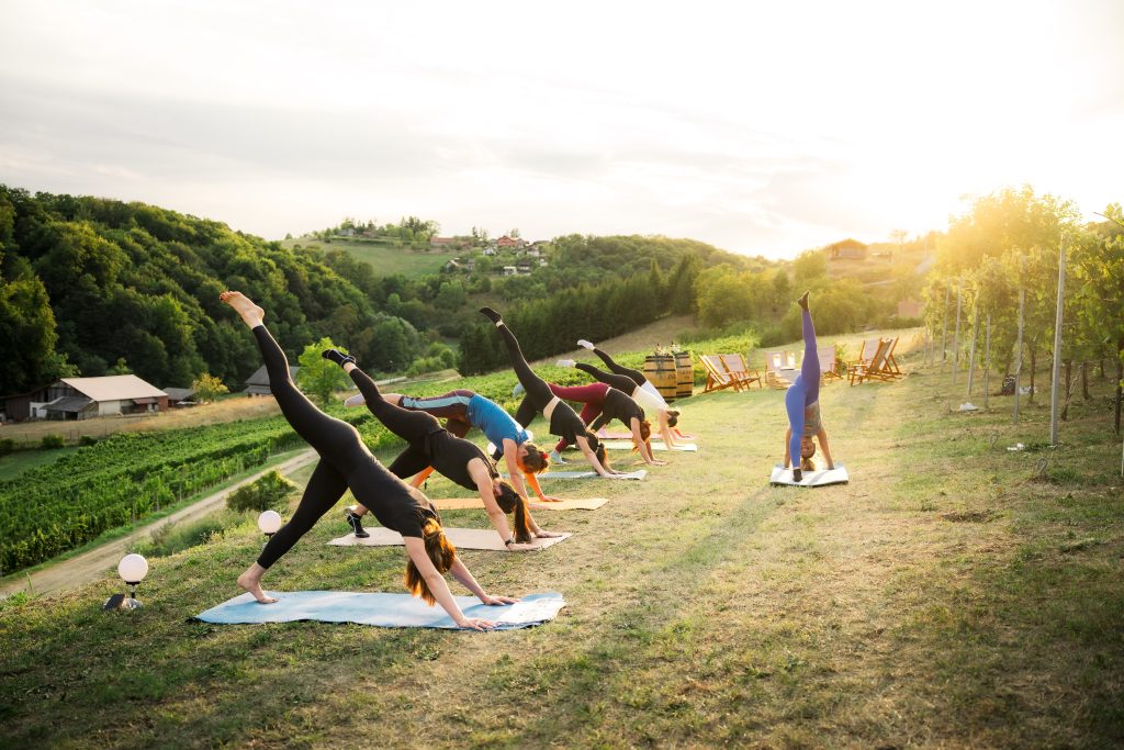 Doživite Vino & Yoga u Vinariji Žnidarić – yogu i meditaciju među trsovima, prirodu, degustaciju nagrađivanih vina i domaće proizvode.