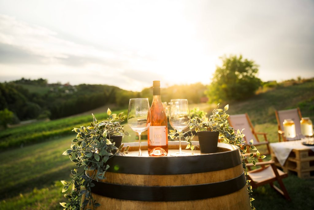 Doživite Vino & Yoga u Vinariji Žnidarić – yogu i meditaciju među trsovima, prirodu, degustaciju nagrađivanih vina i domaće proizvode.
