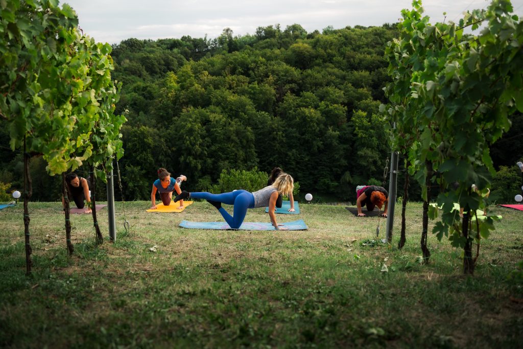 Doživite Vino & Yoga u Vinariji Žnidarić – yogu i meditaciju među trsovima, prirodu, degustaciju nagrađivanih vina i domaće proizvode.