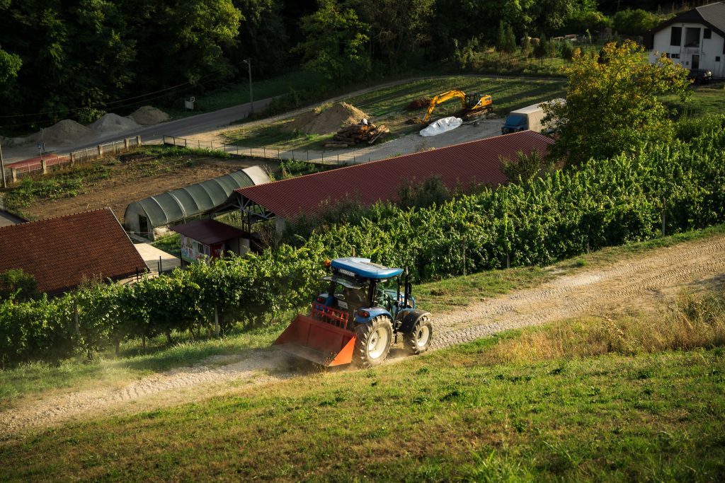 Doživite Vino & Yoga u Vinariji Žnidarić – yogu i meditaciju među trsovima, prirodu, degustaciju nagrađivanih vina i domaće proizvode.