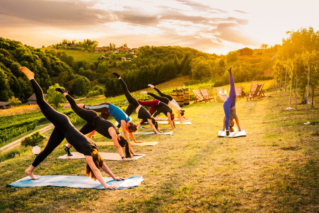 Doživite Vino & Yoga u Vinariji Žnidarić – yogu i meditaciju među trsovima, prirodu, degustaciju nagrađivanih vina i domaće proizvode.
